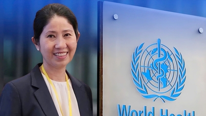 ویتنامی ایسوسی ایٹ پروفیسر آف میڈیسن ڈبلیو ایچ او کے رہنما خطوط مرتب کرنے والے واحد ایشیائی نمائندے ہیں۔