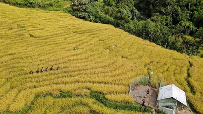 Upaya pelaksanaan proyek penanggulangan kemiskinan yang berkelanjutan