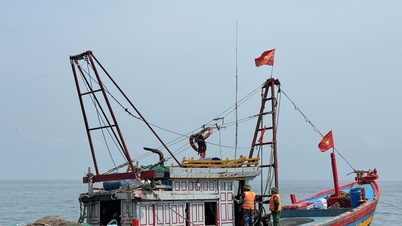 O Governo ordenou que se continuem a tomar medidas drásticas para retirar o "cartão amarelo europeu" às pescas.