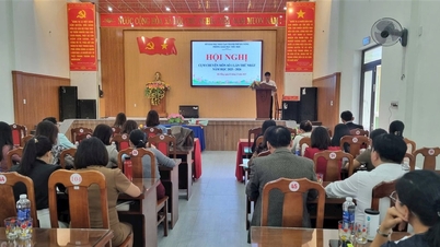 दा नांग ने विभिन्न क्षेत्रों में शिक्षा की गुणवत्ता में सुधार किया