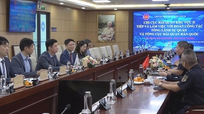 Vietnam and South Korea expand customs coordination to facilitate trade