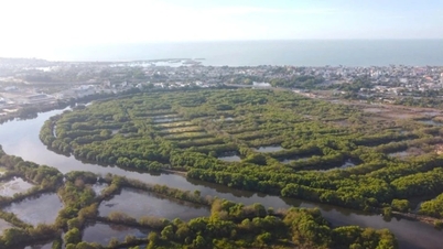 ឡាំដុង៖ គម្រោងឧទ្យាន Hung Vuong នឹងចាប់ផ្តើមសាងសង់...