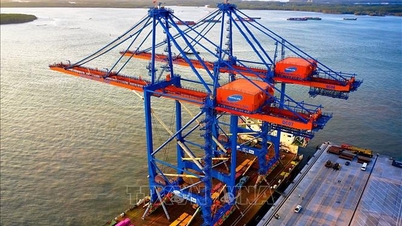 Southeast Logistics to Rise Strongly by the End of 2025