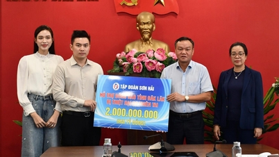 Kumpulan Son Hai menderma 2 bilion VND dan 20 tan beras untuk menyokong penduduk di kawasan yang dilanda banjir.