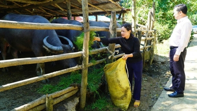 Quang Ngai zmienia się na drodze do zrównoważonej redukcji ubóstwa