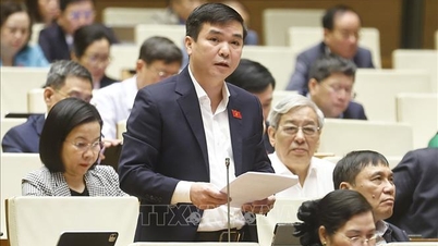 ঝড় ও বন্যায় ক্ষতিগ্রস্তদের এক বছরের স্বাস্থ্য বীমা প্রিমিয়াম মওকুফের প্রস্তাব