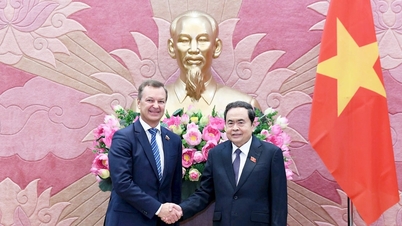 Ketua Majelis Nasional Tran Thanh Man menerima Wakil Ketua Pertama Dewan Federasi Rusia