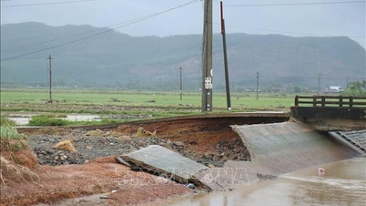 ڈاک لک: آبپاشی کی بہت سی نہریں ٹوٹ گئیں، جس سے چاول کی 15000 ہیکٹر سے زیادہ فصل کو خطرہ ہے۔