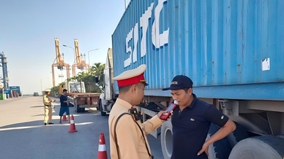 항구 지역에서 운전자 11명이 약물 양성 반응을 보였습니다.