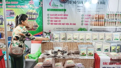 Vietnamese goederen bevestigen hun positie in het thuisland van de lotus