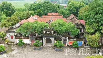 Temple de Bac Cung - Mille ans de culture vietnamienne