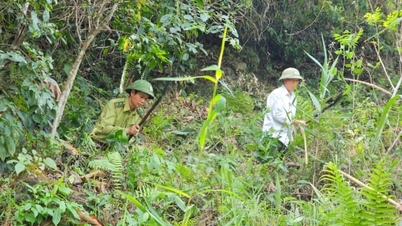 Closely follow the grassroots to protect and develop forests