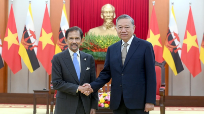 Pernyataan Bersama Vietnam-Brunei Darussalam