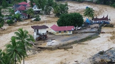 इंडोनेशिया में बाढ़ और भूस्खलन से मरने वालों की संख्या 600 से अधिक