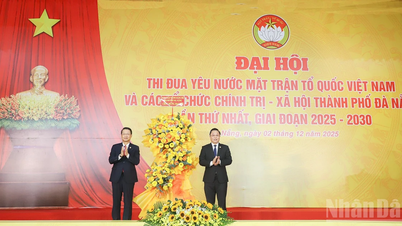 دا نانگ: محاذ اور سماجی و سیاسی تنظیمیں حب الوطنی کی اختراع اور تاثیر میں مقابلہ کرتی ہیں