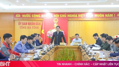 하띤성, 불법어업 근절 위한 대책 강력히 추진