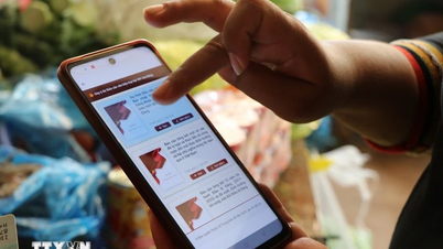 Commentaires sur les projets de documents du XIVe Congrès : Plus de 527 764 commentaires du Système du Front de la Patrie du Vietnam