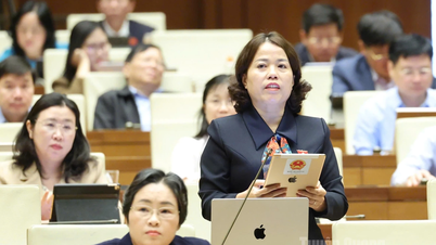 Επικεφαλής της αντιπροσωπείας της Εθνοσυνέλευσης της επαρχίας Ly Thi Lan: Σύνδεση της δημογραφικής πολιτικής και της πολιτικής υγείας για τη βελτίωση της ποιότητας της υγειονομικής περίθαλψης για τον λαό