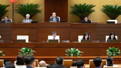 تطوير مرافق رعاية المسنين مهمة لا تحتمل التأخير