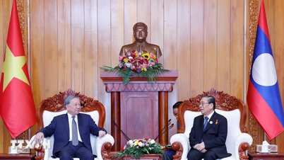 Sekretaris Jenderal To Lam bertemu dengan mantan Sekretaris Jenderal dan Presiden Laos Bounnhang Vorachit