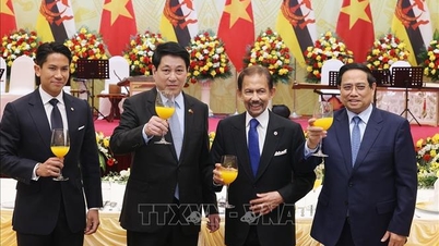 سلطان برونئی سفر رسمی خود به ویتنام را به پایان رساند