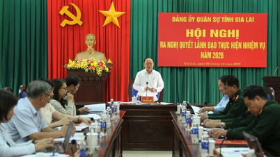 El Comité del Partido Militar Provincial de Gia Lai emitió una Resolución para liderar la implementación de tareas en 2026.