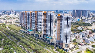 โครงการ Novaland หลายโครงการในนครโฮจิมินห์มีปัญหาทางกฎหมายได้รับการแก้ไขแล้ว โดยมีครัวเรือนกว่า 10,500 หลังคาเรือนที่มีสมุดสีชมพู และบางโครงการก็อยู่ในระหว่างการก่อสร้างอีกครั้ง