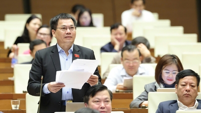 Precisar la hoja de ruta para la gratuidad de la hospitalización y ampliar la atención sanitaria a las personas mayores