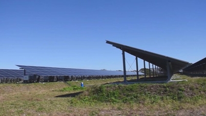 Vietnam has great potential for investment in sustainable energy saving.