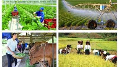 A mezőgazdaságról, a gazdálkodókról és a vidéki területekről szóló 19. számú határozat határozott végrehajtása