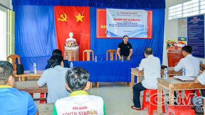 Unterstützen Sie die Ca Mau-Genossenschaften, damit sie ihre Anpassungsfähigkeit an den Klimawandel verbessern können.