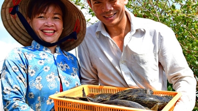 Nachhaltige Existenzsicherung durch die Grundelzucht