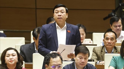 Menanggapi kebutuhan perkembangan geriatri