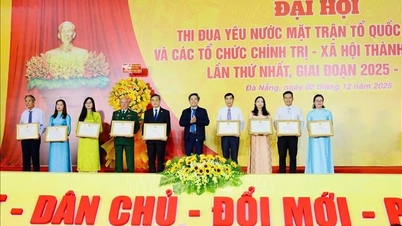 Berfokus pada penemuan, pemeliharaan, dan replikasi model-model canggih