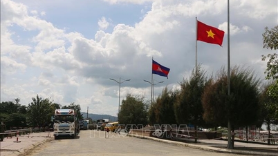 Développement de l'économie du commerce frontalier dans la région du delta du Mékong