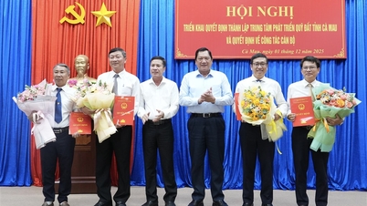 Triển khai quyết định thành lập Trung tâm Phát triển quỹ đất tỉnh Cà Mau