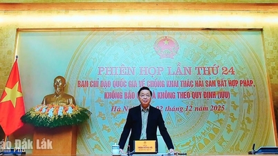 IUU ماہی گیری کا مقابلہ کرنے سے متعلق حکومت کی طرف سے تفویض کردہ 101/101 کام مکمل کیے گئے