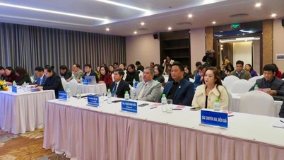 كاو بانج يلتقي مع الشركات والتعاونيات في مجال العلوم والتكنولوجيا