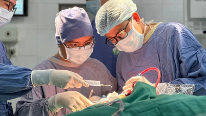 Placement of functional regional localization electrodes in diffuse glioma surgery