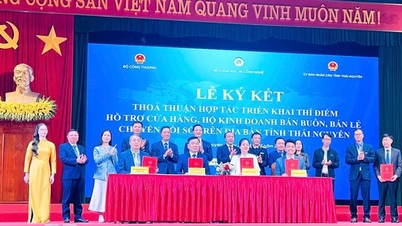 تاي نجوين يطلق برنامجًا تجريبيًا لدعم المتاجر والشركات في التحول الرقمي