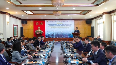 تحالف أشباه الموصلات: ربط الموارد - خلق قوة مستدامة