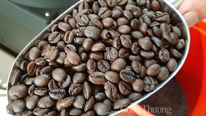 Pasar Jerman meningkatkan impor kopi dari Vietnam