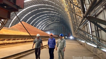 Cimento Tan Quang - Superando dificuldades, criando impulso para a inovação.