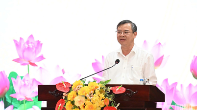 קאן טו: תוצאות יוצאות דופן רבות בעבודה הצבאית והביטחונית המקומית