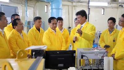 Application de l'énergie atomique à la production agricole à Lam Dong