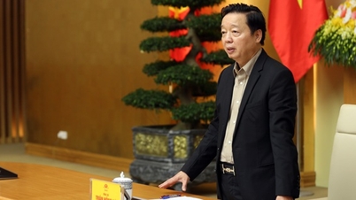 Kiểm tra, xử lý vi phạm khai thác IUU phải thực chất, minh bạch, có bằng chứng rõ ràng