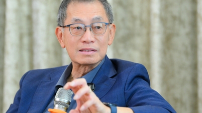 Melyik vietnami tudósokra számíthatnak a VinFuture-díj?