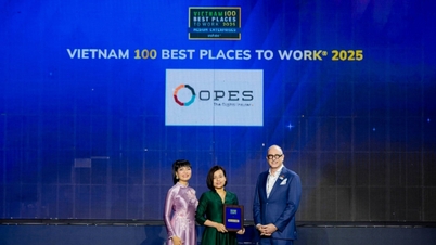 ओपीईएस वियतनाम के शीर्ष 500 सबसे बड़े निजी उद्यमों में 164 स्थान ऊपर चढ़ा