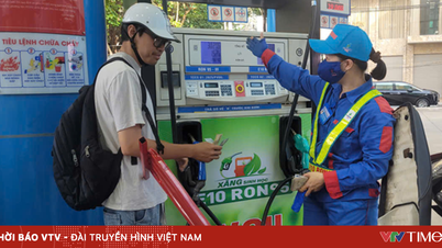 Proposing solutions to sell E10 gasoline nationwide