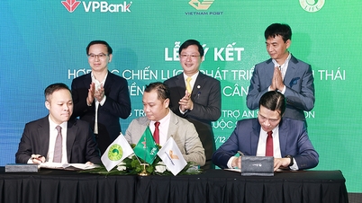 Vietnam Post mengembangkan model jaminan sosial dan keseimbangan untuk 100 juta orang Vietnam